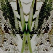 Playboy In Da Jungle Mod Wheel Safari Mix Hq