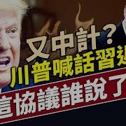 新協議背後 誰才是真正說了算的人 川普高調訪中東 收
