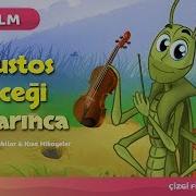 Circir Böcegi