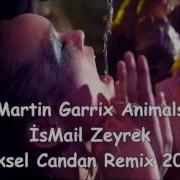 Ismail Zeyrek Remix