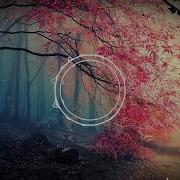 Яша Кизим Отанга Рахмат