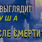 Рассказы Очевидцев Как Выглядит Душа После Смерти