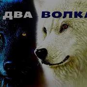 Два Волка Песня Притча