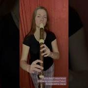 Мелодия Песри Прокодила Гены