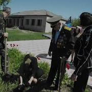 Посадкадерева Бессмерный