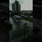 Дождь Залил В Саду Цветы