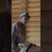 Как Торчат Горцы