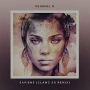 Seismal D Sapiens Clawz Sg Remix