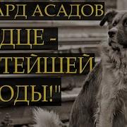 Эдуард Асадов Рыжая Дворняга