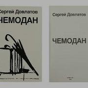 Шофёрские Перчатки Гафт