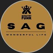 Ministry Of Funk Wonderful Life