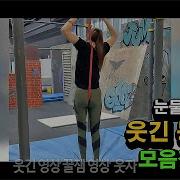 웃긴영상모음