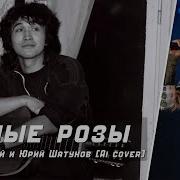 Виктор Цой Ai Cover Роза