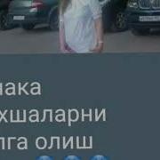 Навоилик Наргиз Жалаб
