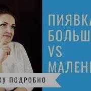 Маленькие Пиявки