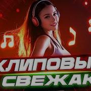 Клиповые Новинки