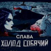 Слава Холод Собачий