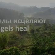 Ангелы Исцеляют Angels Heal