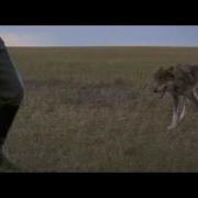 Goodbye Two Socks Dance With Wolves