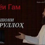 Эшони Зикруллох