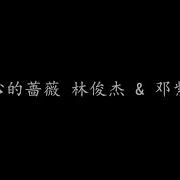 手心的蔷薇林俊杰
