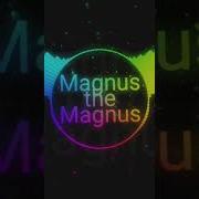 Magnus And Magnus Area