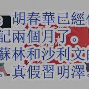大包王朝 胡春华代理总书记