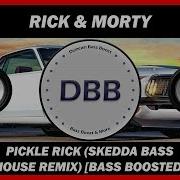 Rick And Morty Pickle Rick Skedda Bass House Remix