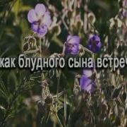 Я Любви Не Достоин Твоей