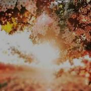 Blossom Original Mix Ka5Cade