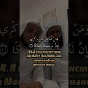 Мансур Ас Салими Та Ха