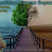 Хочи Мирзо Мрз 2019
