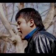 Алишер Файз Юрий Шатунов