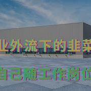 制造业外流下的韭菜出路 提升自己随工作岗位流动