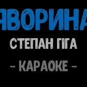 Яворина Гіга Караоке