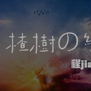 山楂树之恋