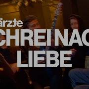Dein Schrei Nach Liebe