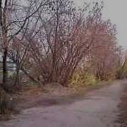 Манок Для Ворон