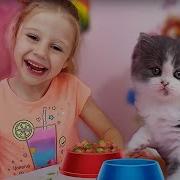 У Насти Появились Маленькие Котята Новые Истории Для Детей