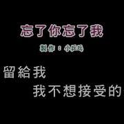 忘了你忘了我伴奏