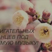 Заяц Поздравляет Сестра Сестру