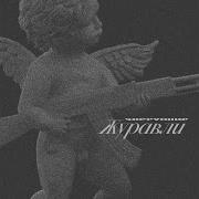 Прокурорша Live Коррупция