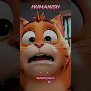 Cat Jailed For Stealing Fish