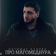 Патимат Алиева Магомеднур