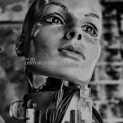 Ginchy Distorted Reality