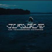 Alok Chainsmokers Jungle