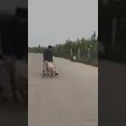 Пародия На Гепарда