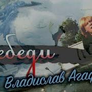 Владислав Агафонов Лебеди Клип