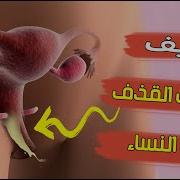 نيك وقذف داخل الكس