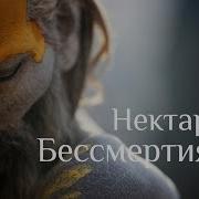 Нисаргадатта Махарадж Нектар Бессмертия